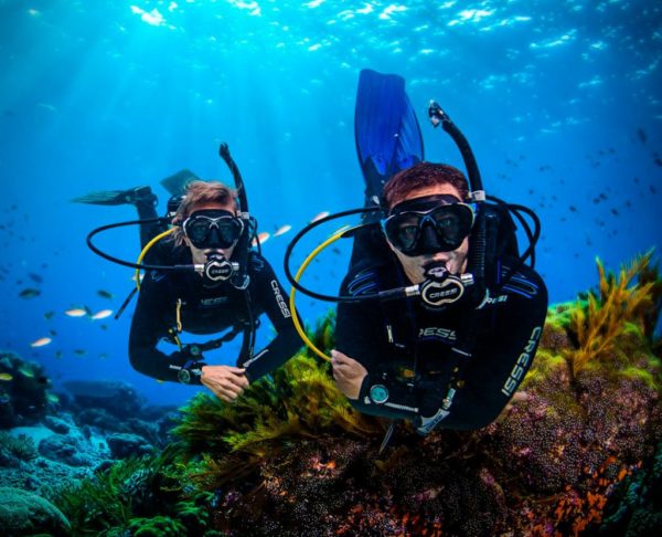 Divers-Decompression-descompresión-en-el-buceo-5-1024x829