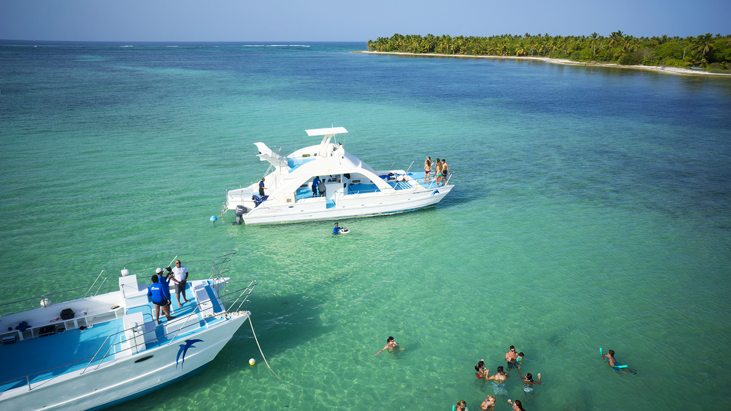 Dovinet-208fde6a-f589-46de-bbb3-db836508cc3c