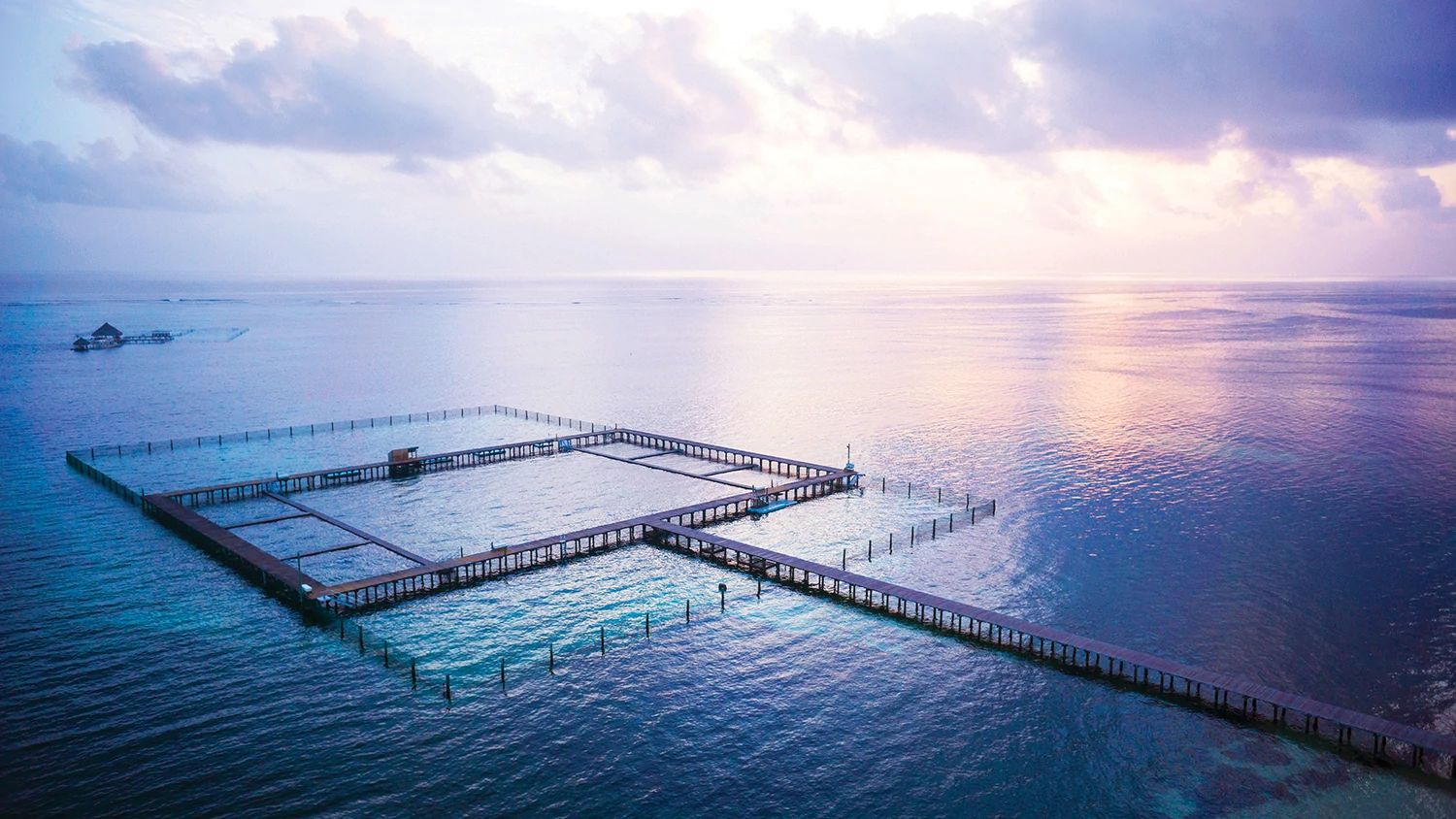 Punta-Cana-Dominican-Republic-Dolphin-Enclosure-id12556-Nov-11-2022