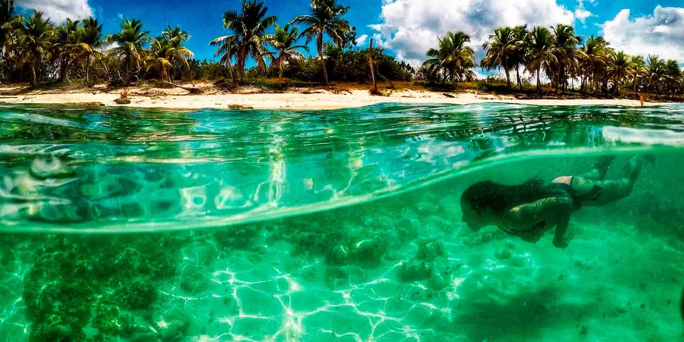 catalina-snorkel-3-1